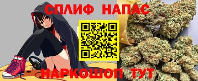 спиды Будённовск