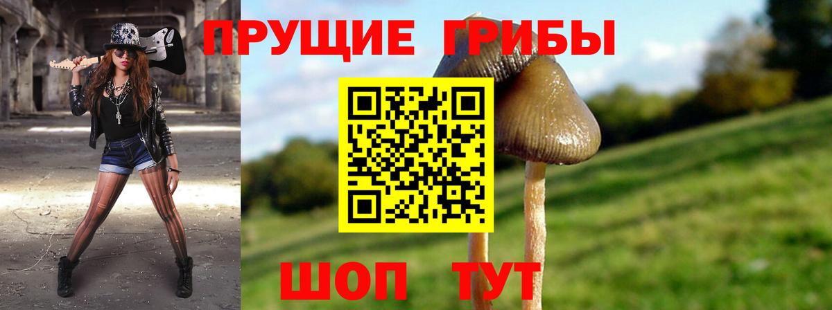 Галлюциногенные грибы MAGIC MUSHROOMS  Псилоцибиновые грибы Psilocybine cubensis  Ростов Великий  Вход с VPN 
