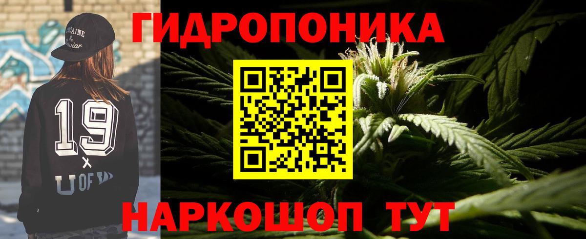 Шишки марихуана конопля  Конопля AK-47  Шишки марихуана тримм  Ростов Великий  Вход с VPN 